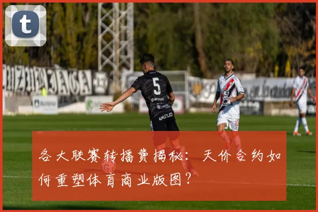 各大联赛转播费揭秘：天价合约如何重塑体育商业版图？